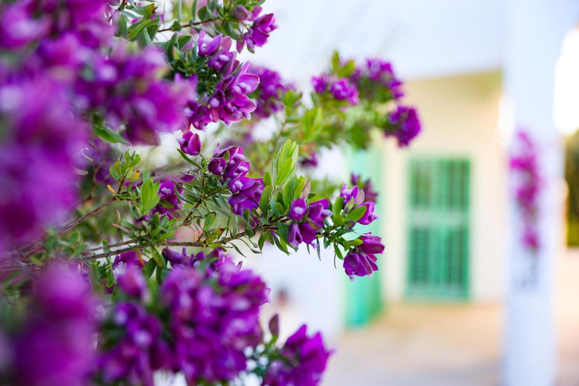 Villa Mina Ostuni Luaran gambar